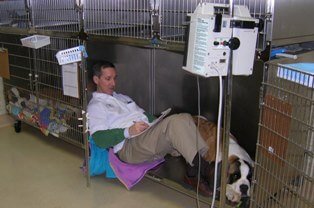 Dr._Moore_in_recovery_edited (1) Dr. Moore - Willow Brook Animal Hospital