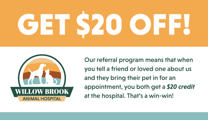 Client Referral Program